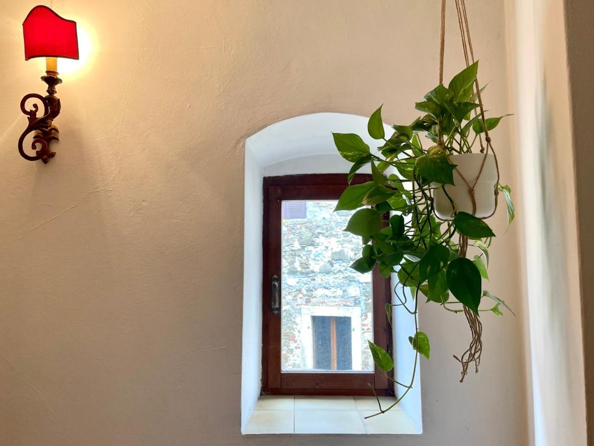 Casa Vacanze La Casa Di Nonna Libia Vicino Saturnia モンテメラノ エクステリア 写真